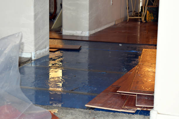 Professional Water Damage Restoration technician working in Ada, MI